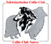 logo_scc
